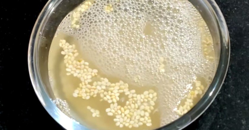 rice rava idli recipe