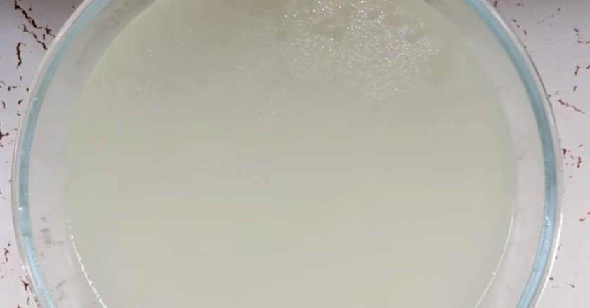 white sauce pasta ghar pe kaise banaye